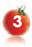 tomato-3