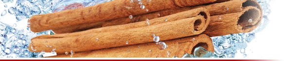 How Water Extracted Cinnamon Can Improve Your Blood Glucose Control