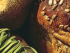 whole grains