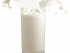 milk and diabetes