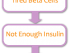Diabetes prevention