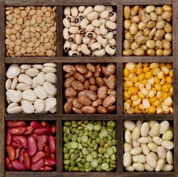 Bountiful Beans The Secret to Good Health Cardio and