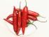 chili peppers