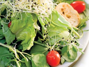 veggies and healthy eating