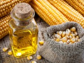 Could Corn Oil Be The Key To Heart Health