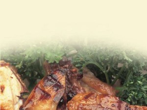 Healthy Recipes eCookBook