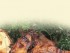 Healthy Recipes eCookBook