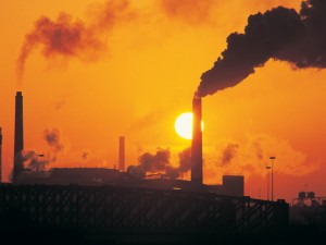Pollutants Linked To Obesity And Poor Health