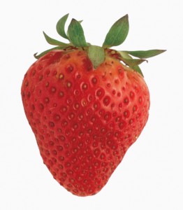 close-up of a strawberry